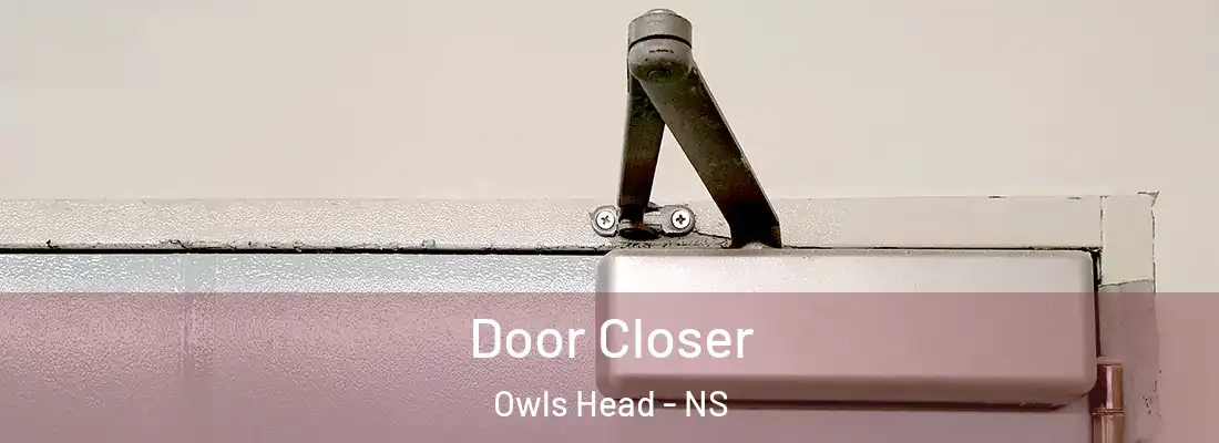  Door Closer Owls Head - NS