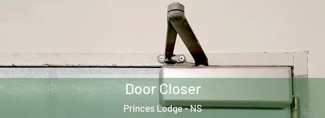 Door Closer Princes Lodge - NS