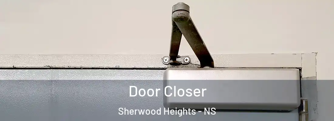  Door Closer Sherwood Heights - NS