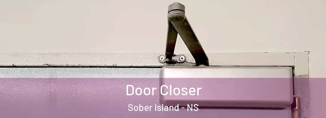  Door Closer Sober Island - NS