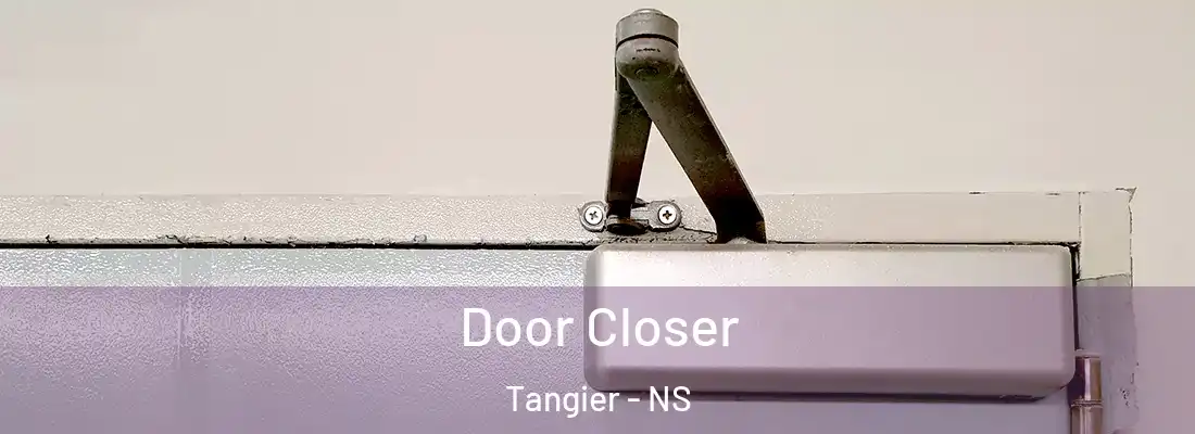 Door Closer Tangier - NS