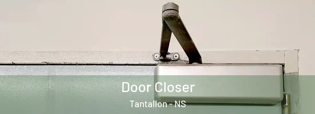 Door Closer Tantallon - NS