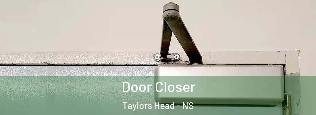 Door Closer Taylors Head - NS