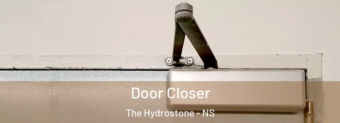  Door Closer The Hydrostone - NS