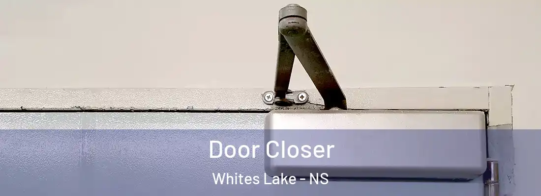 Door Closer Whites Lake - NS