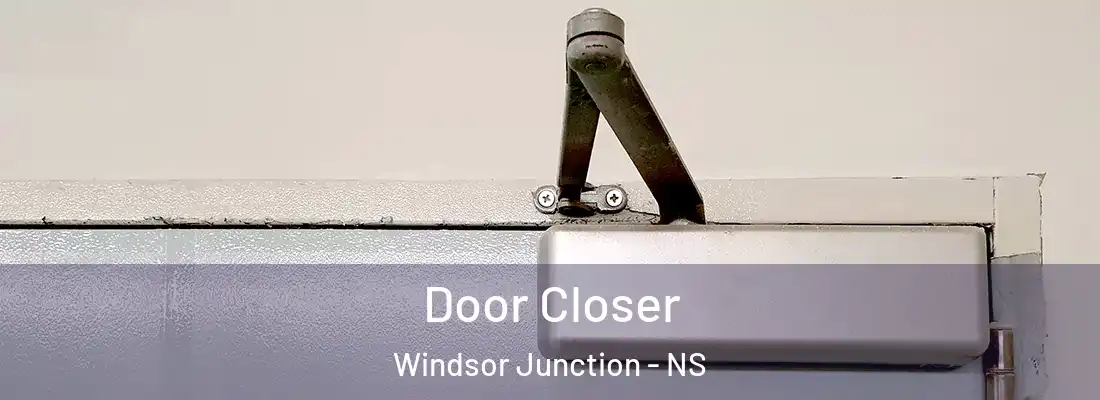 Door Closer Windsor Junction - NS