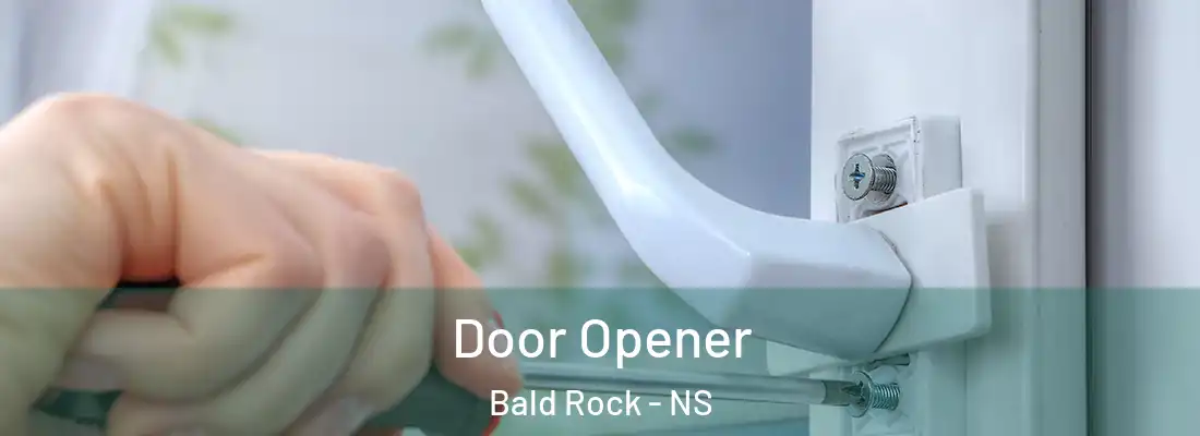 Door Opener Bald Rock - NS