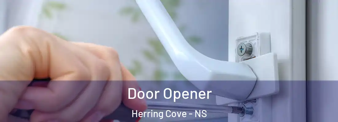 Door Opener Herring Cove - NS