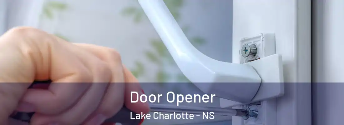 Door Opener Lake Charlotte - NS