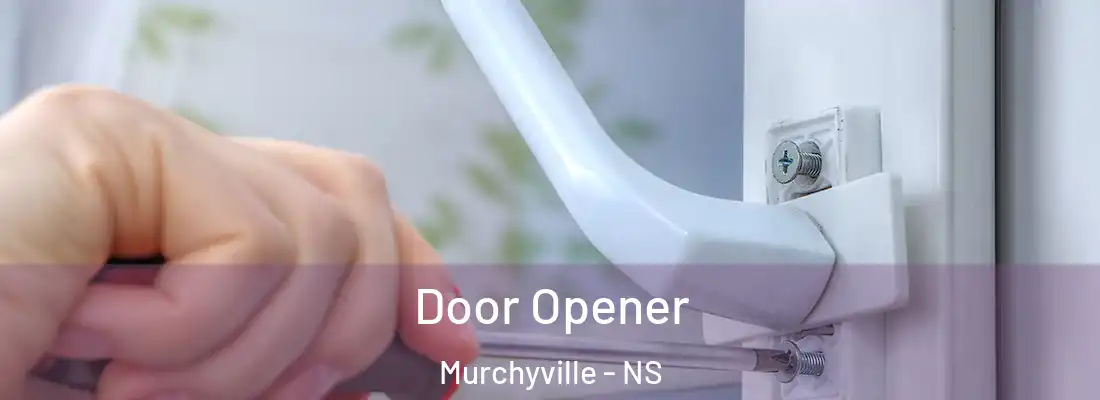 Door Opener Murchyville - NS