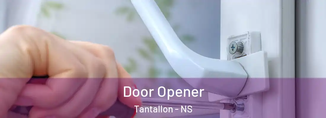 Door Opener Tantallon - NS