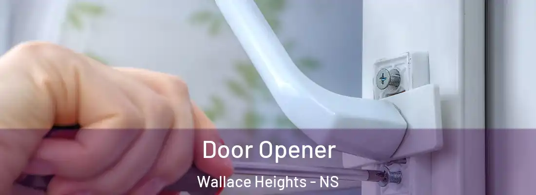Door Opener Wallace Heights - NS