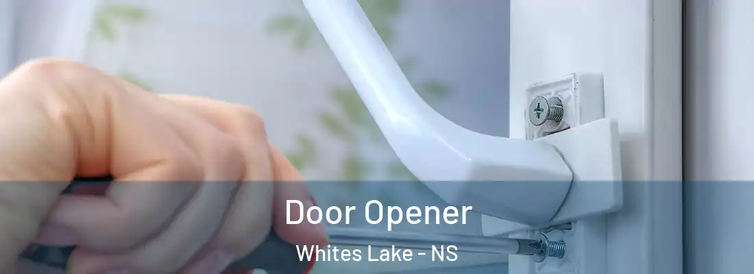  Door Opener Whites Lake - NS
