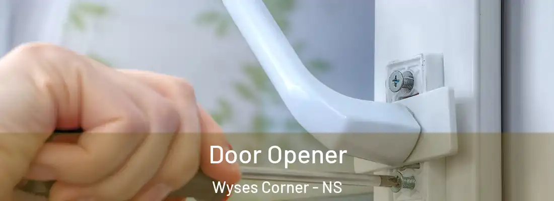 Door Opener Wyses Corner - NS