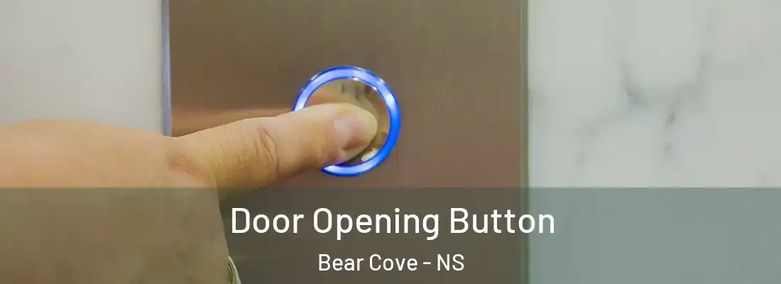 Door Opening Button Bear Cove - NS