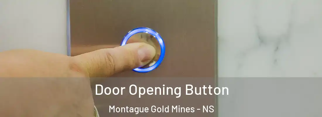 Door Opening Button Montague Gold Mines - NS