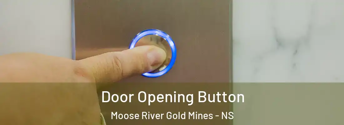 Door Opening Button Moose River Gold Mines - NS