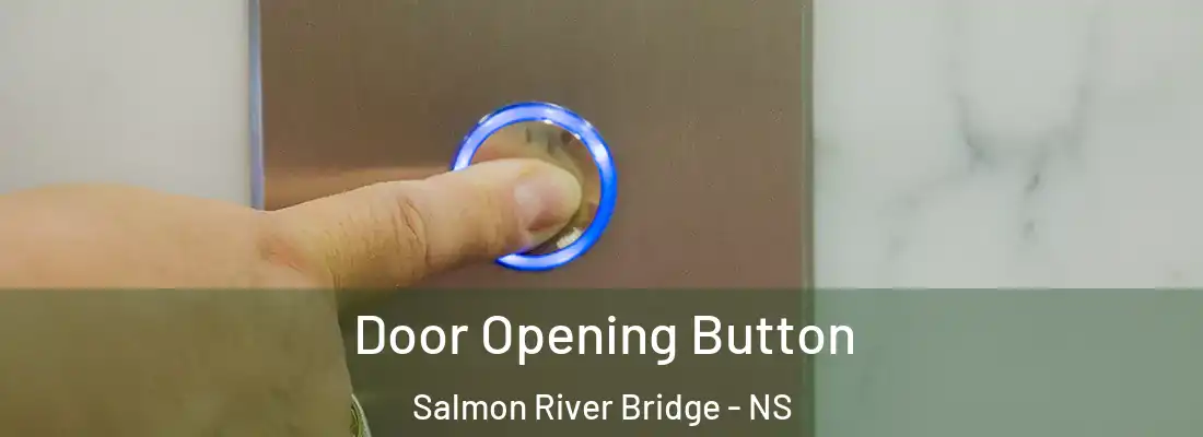 Door Opening Button Salmon River Bridge - NS