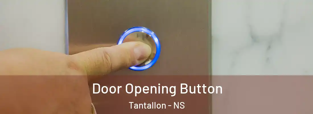 Door Opening Button Tantallon - NS