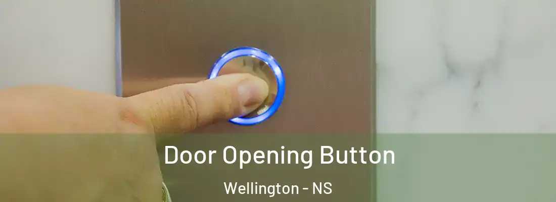  Door Opening Button Wellington - NS