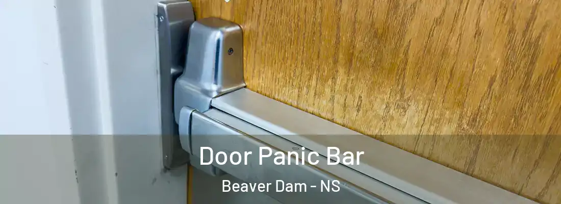 Door Panic Bar Beaver Dam - NS