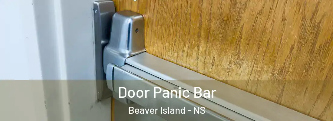 Door Panic Bar Beaver Island - NS
