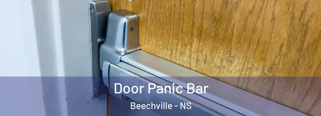 Door Panic Bar Beechville - NS