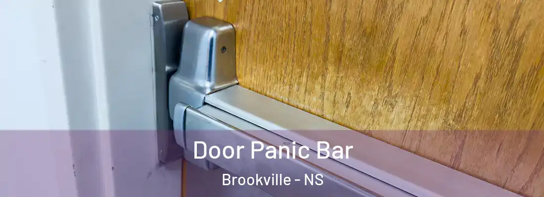 Door Panic Bar Brookville - NS