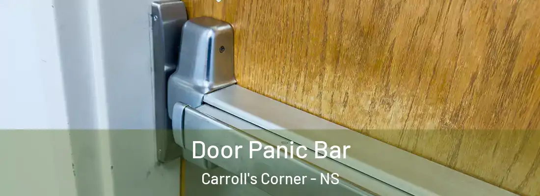 Door Panic Bar Carroll's Corner - NS