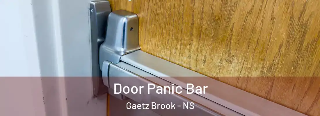 Door Panic Bar Gaetz Brook - NS