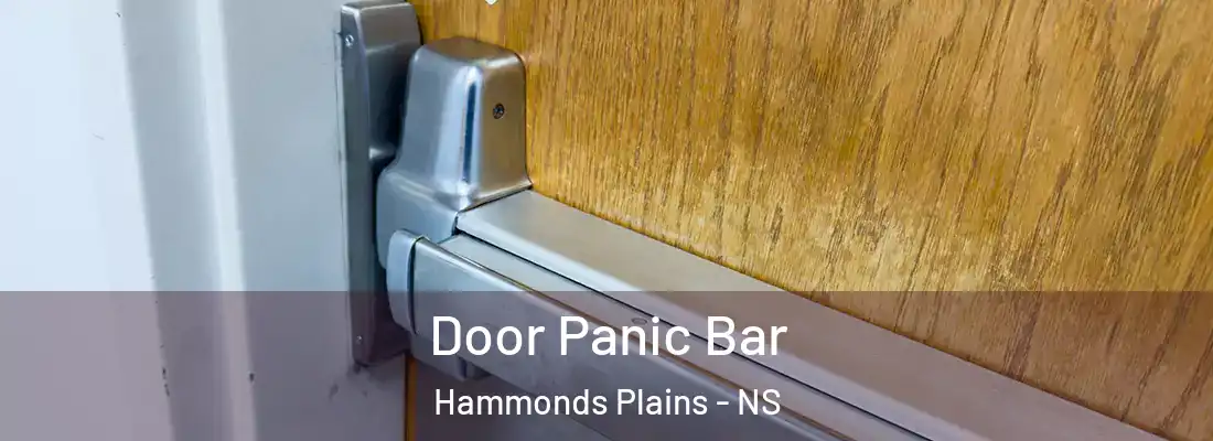  Door Panic Bar Hammonds Plains - NS
