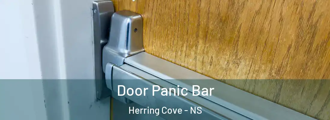  Door Panic Bar Herring Cove - NS