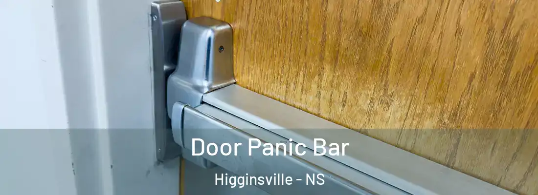  Door Panic Bar Higginsville - NS