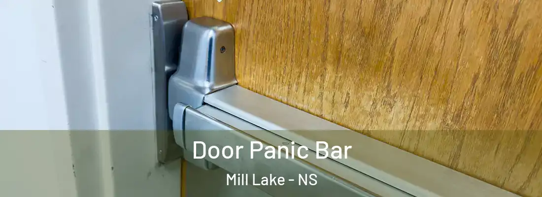 Door Panic Bar Mill Lake - NS