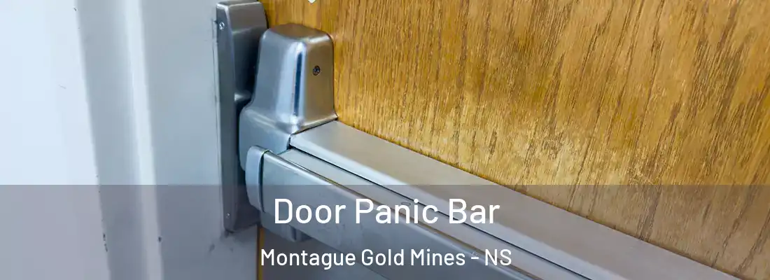  Door Panic Bar Montague Gold Mines - NS