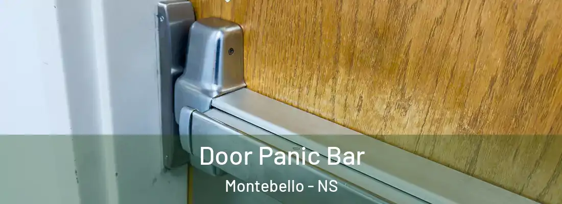 Door Panic Bar Montebello - NS