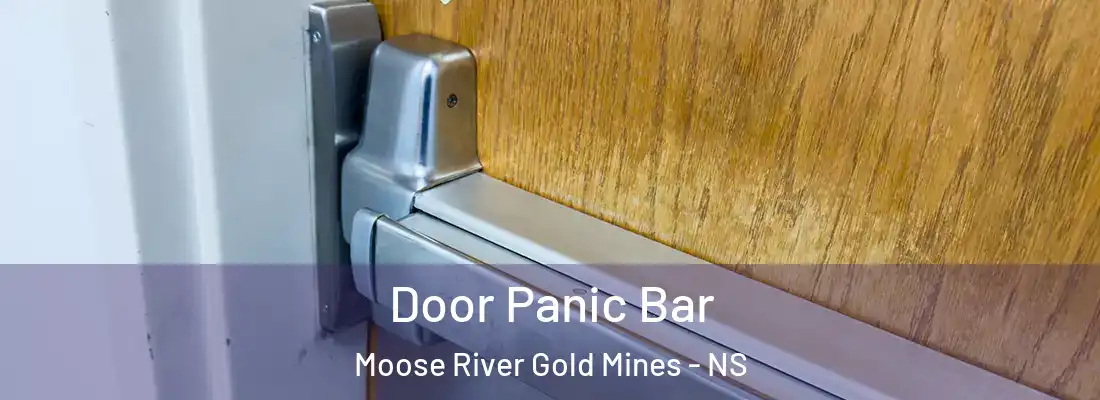  Door Panic Bar Moose River Gold Mines - NS