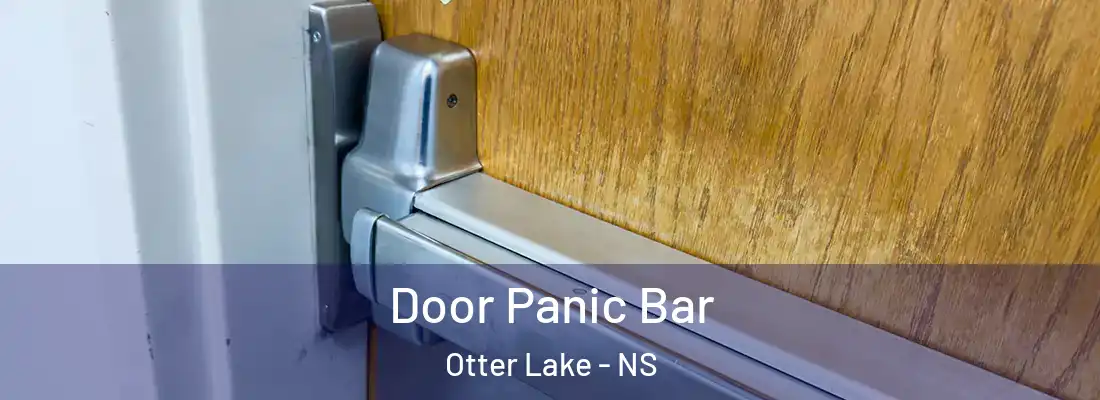 Door Panic Bar Otter Lake - NS