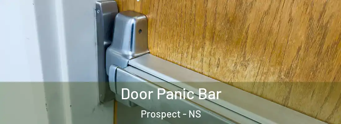 Door Panic Bar Prospect - NS