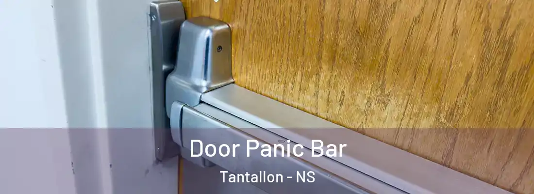 Door Panic Bar Tantallon - NS