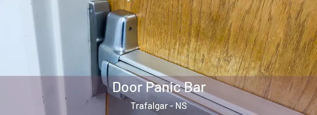 Door Panic Bar Trafalgar - NS