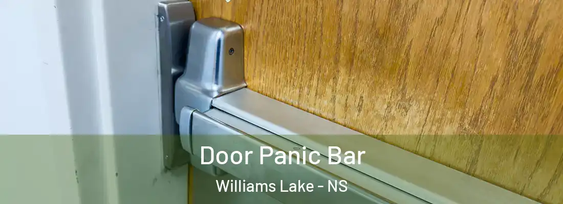 Door Panic Bar Williams Lake - NS
