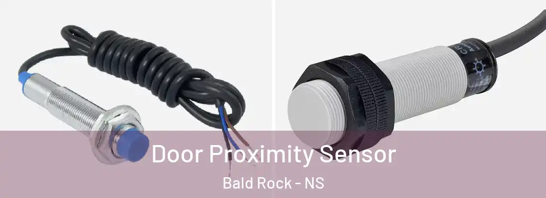 Door Proximity Sensor Bald Rock - NS