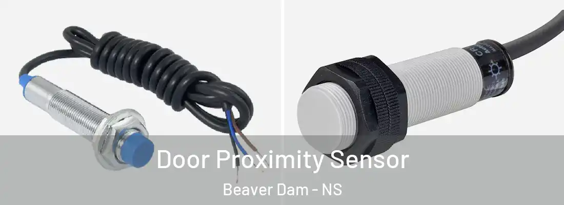 Door Proximity Sensor Beaver Dam - NS