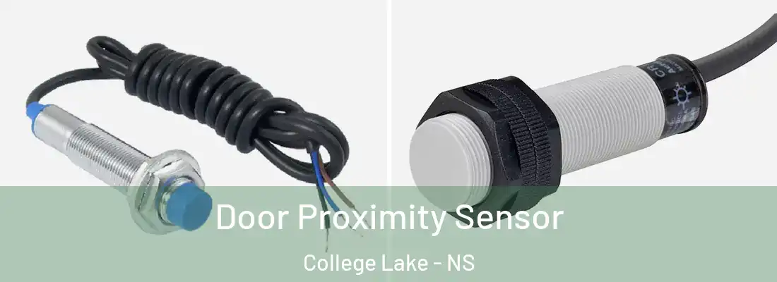 Door Proximity Sensor College Lake - NS