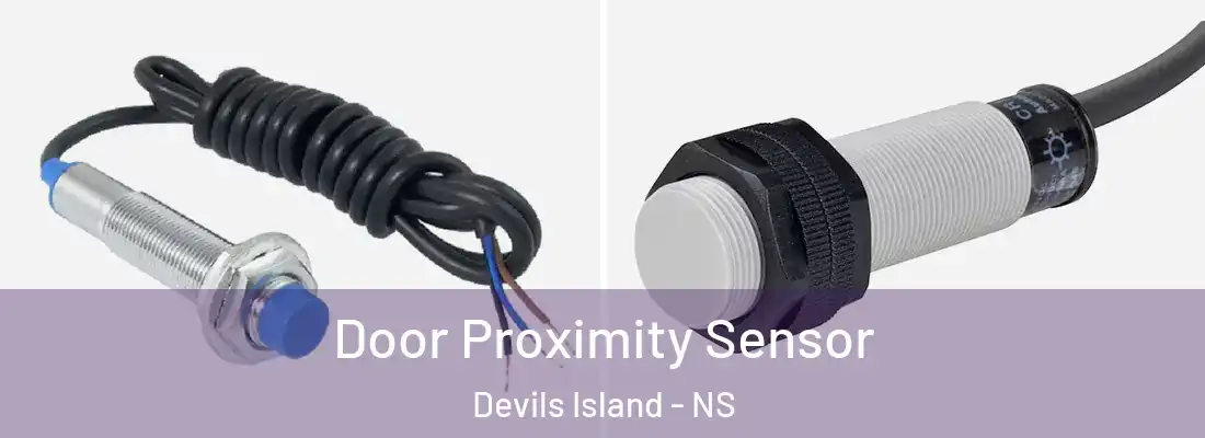 Door Proximity Sensor Devils Island - NS