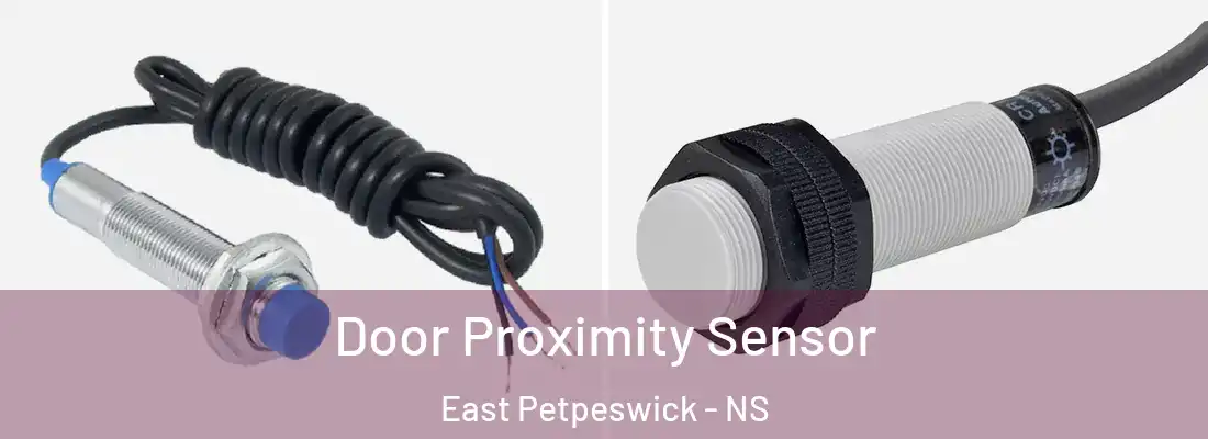 Door Proximity Sensor East Petpeswick - NS