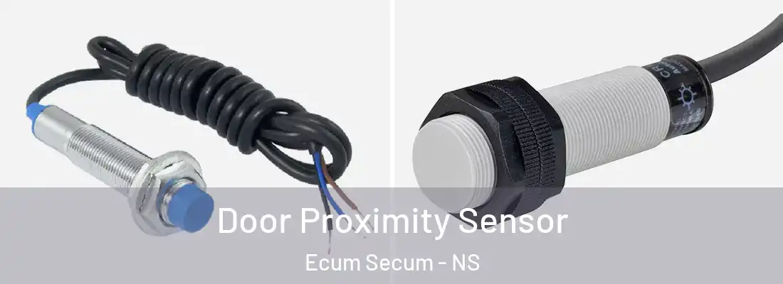 Door Proximity Sensor Ecum Secum - NS
