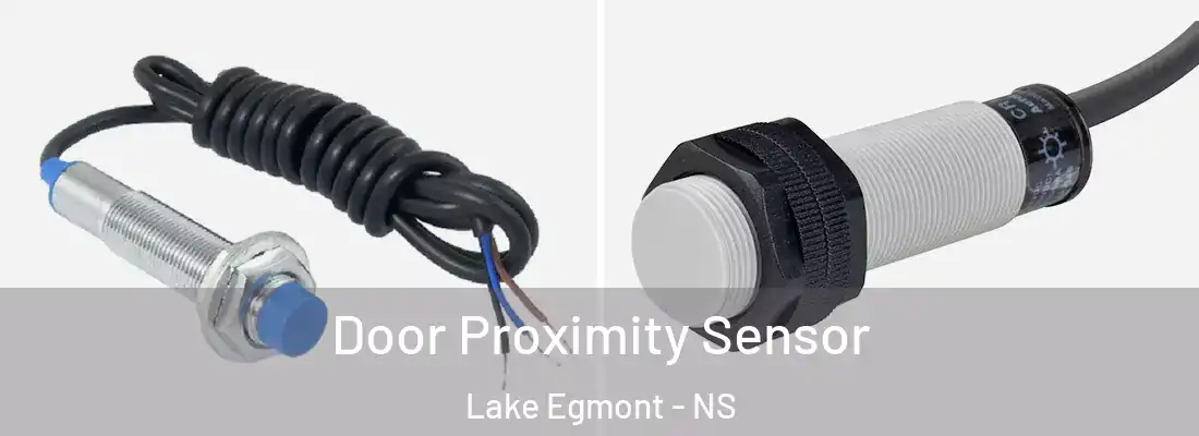 Door Proximity Sensor Lake Egmont - NS