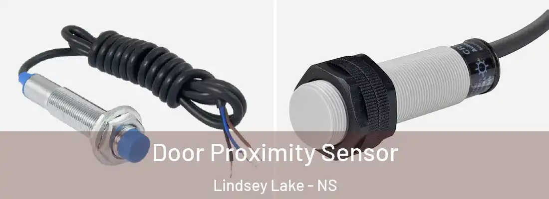 Door Proximity Sensor Lindsey Lake - NS